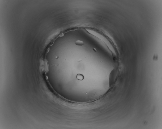 X0000093520019200710121553