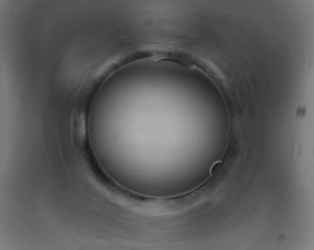 X0000093520020200710121553