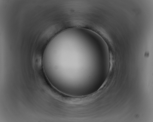 X0000093520021200710121553