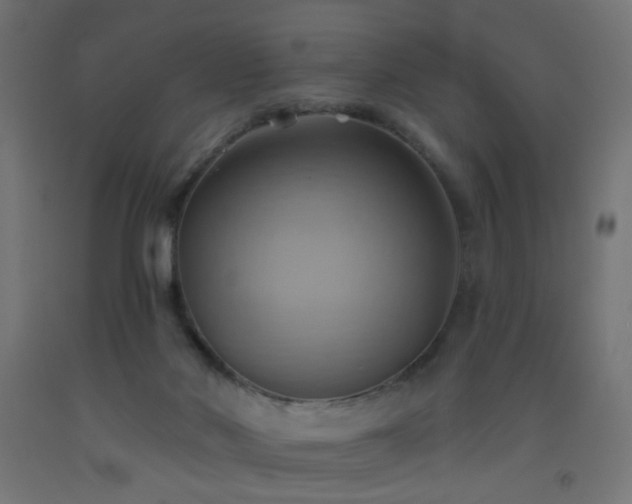X0000093520022200710121553