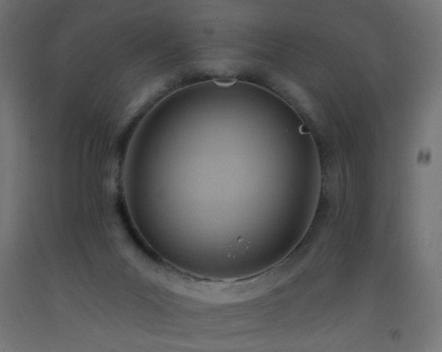 X0000093520023200710121553