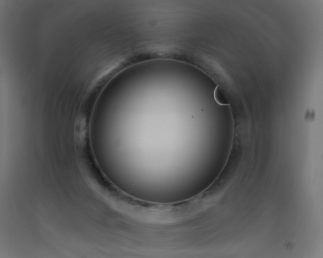 X0000093520024200710121553