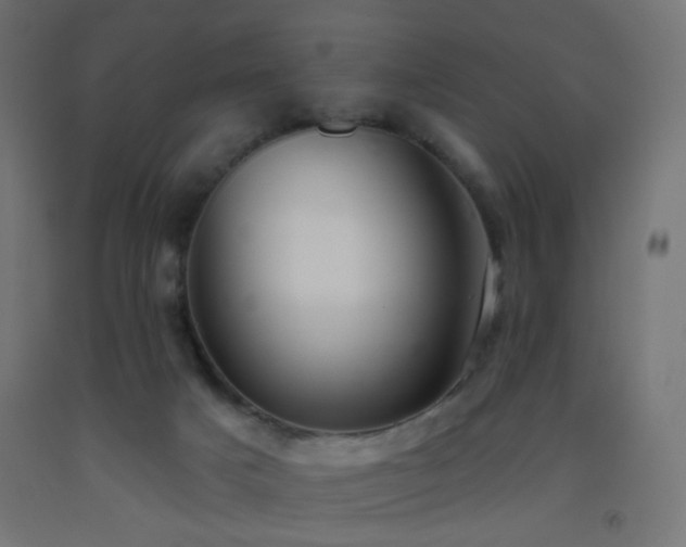 X0000093520025200710121553