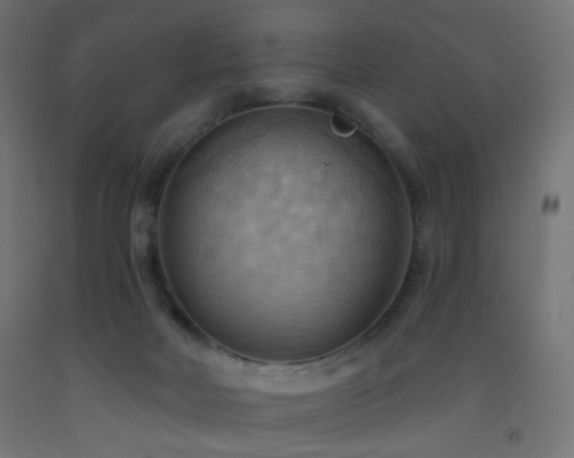 X0000093520026200710121553