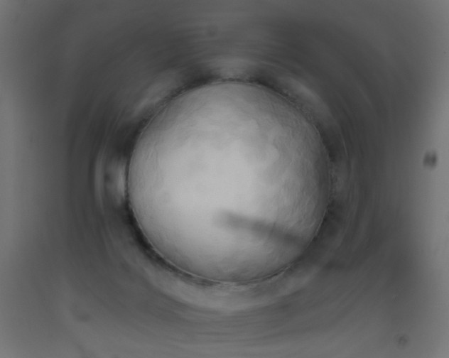 X0000093520028200710121553