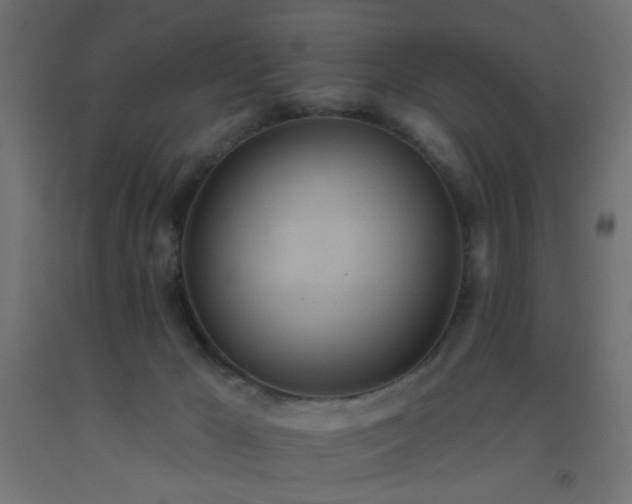 X0000093520029200710121553