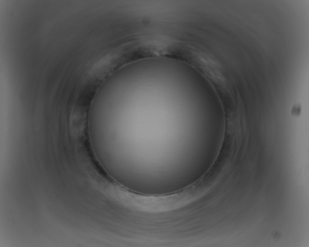 X0000093520030200710121553