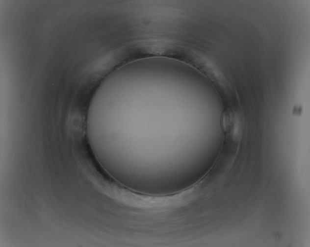 X0000093520031200710121553