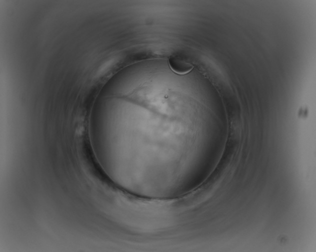 X0000093520032200710121553