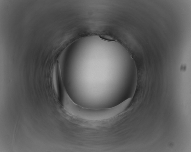 X0000093520033200710121553