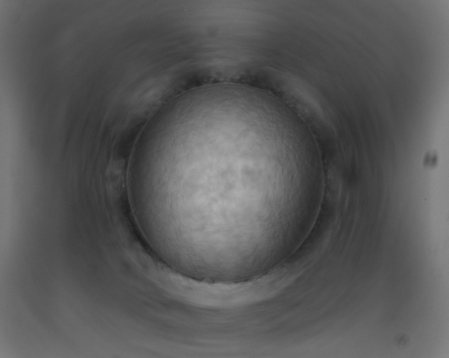 X0000093520034200710121553