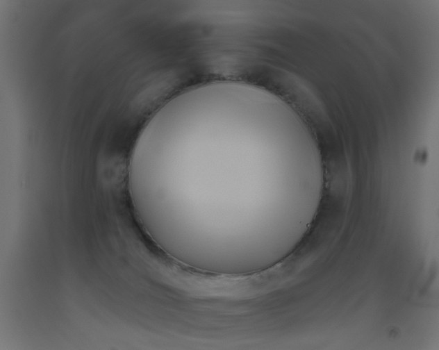 X0000093520036200710121553