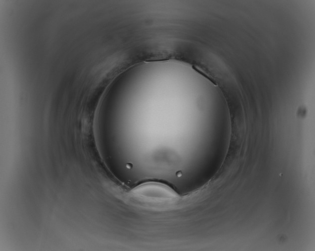 X0000093520037200710121553