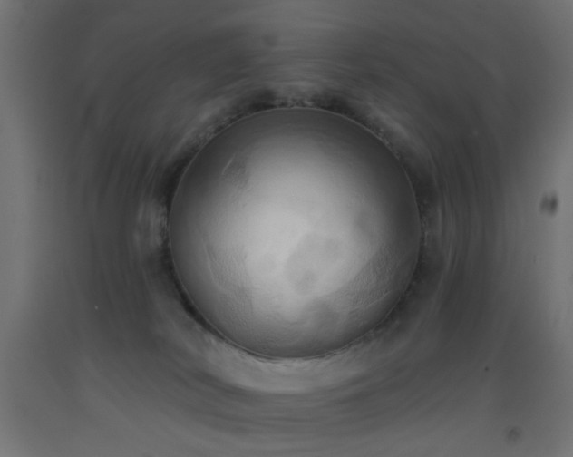 X0000093520038200710121553