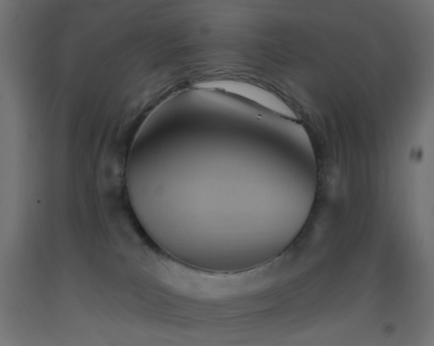 X0000093520039200710121553