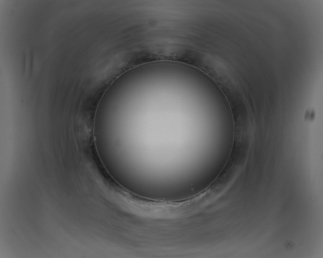 X0000093520040200710121553