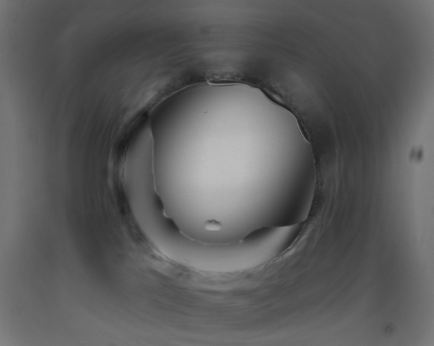 X0000093520041200710121553