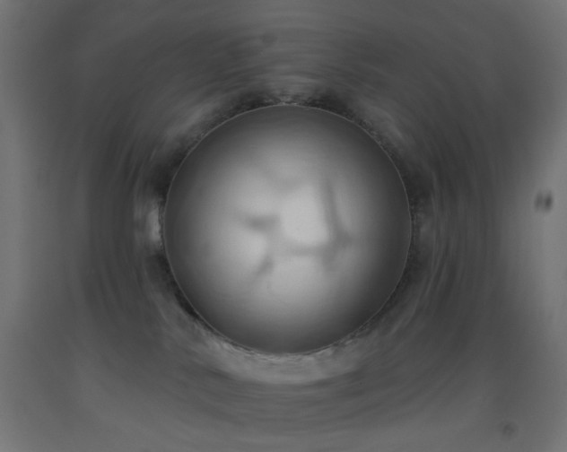 X0000093520042200710121553