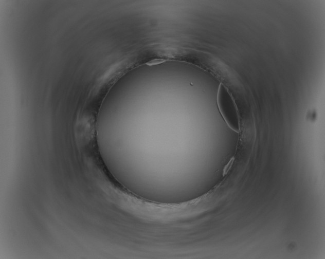 X0000093520043200710121553