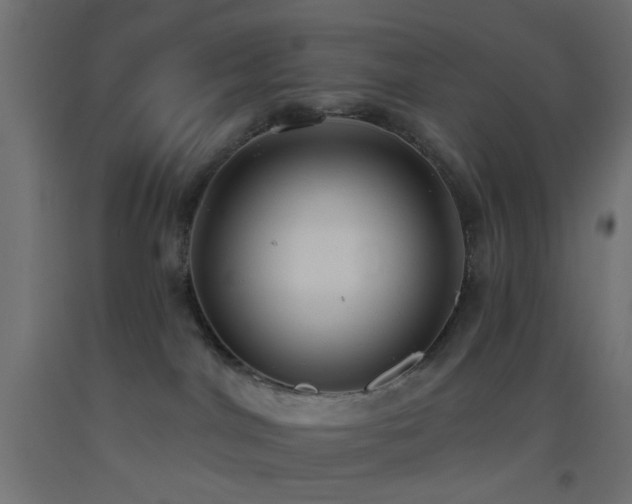 X0000093520044200710121553
