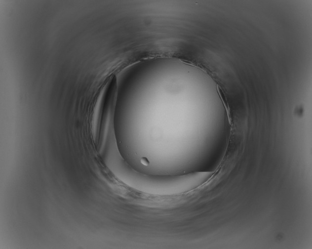 X0000093520045200710121553