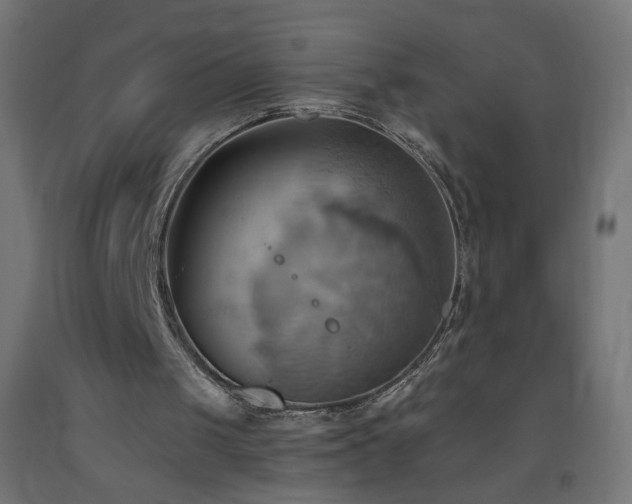 X0000093520049200710121552