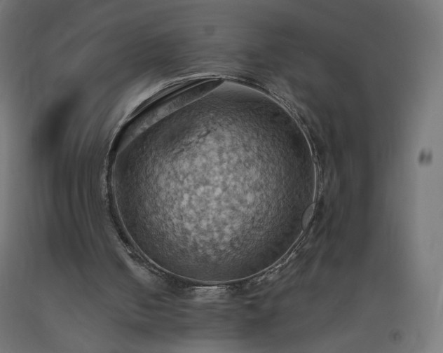X0000093520050200710121552