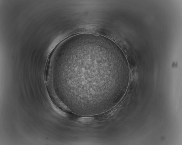 X0000093520051200710121552