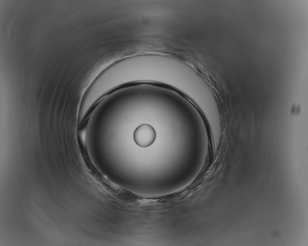 X0000093520052200710121552