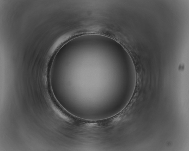 X0000093520054200710121553