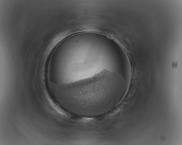 X0000093520055200710121553