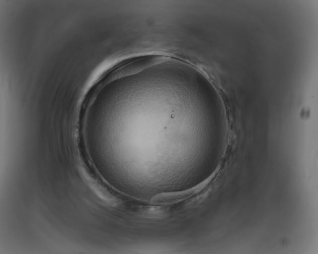 X0000093520056200710121553