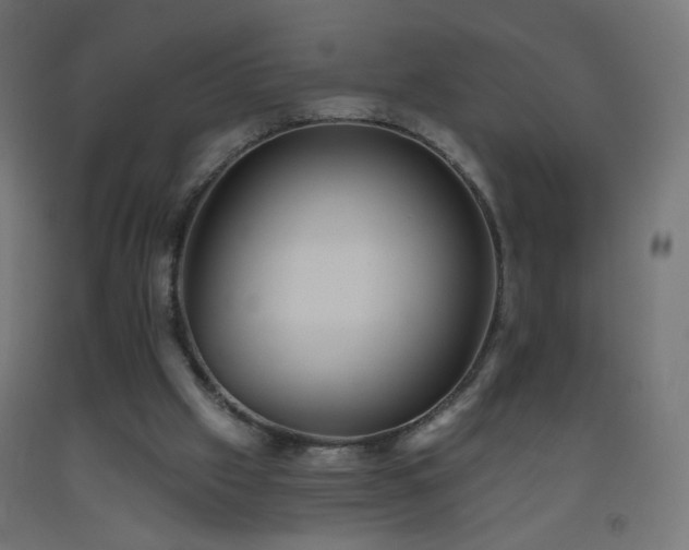X0000093520057200710121553