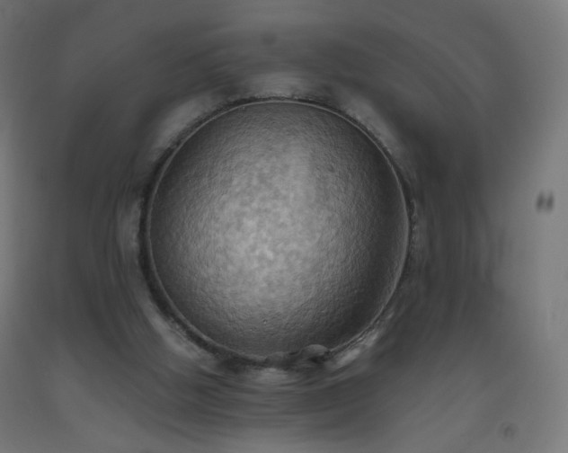 X0000093520058200710121553