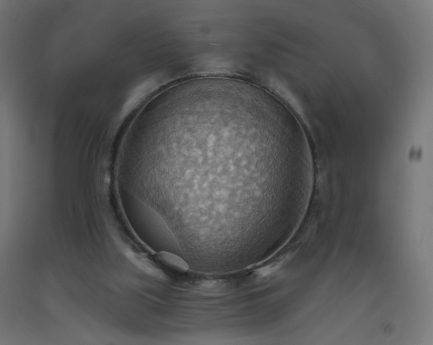 X0000093520059200710121553