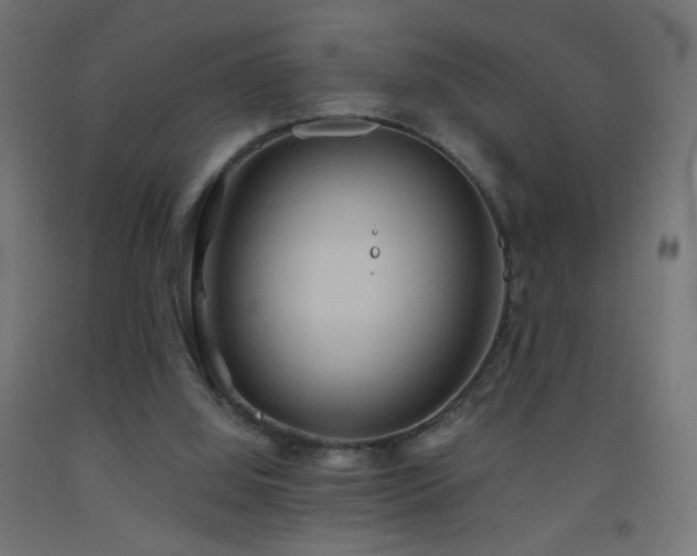 X0000093520060200710121553