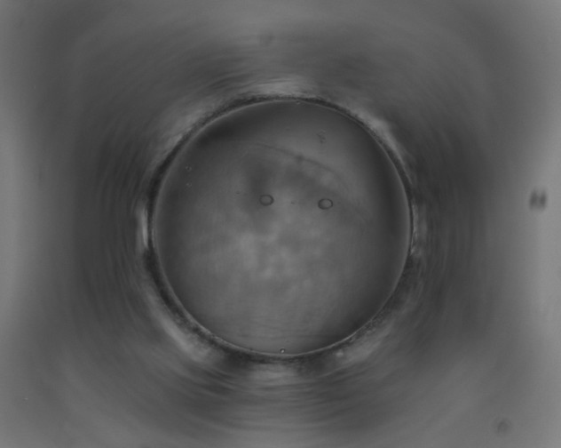 X0000093520061200710121553