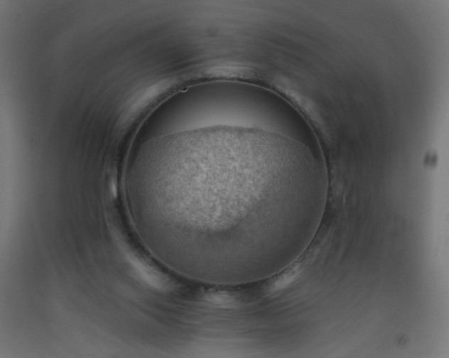 X0000093520062200710121553