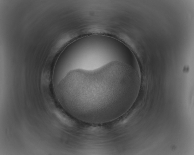 X0000093520063200710121553