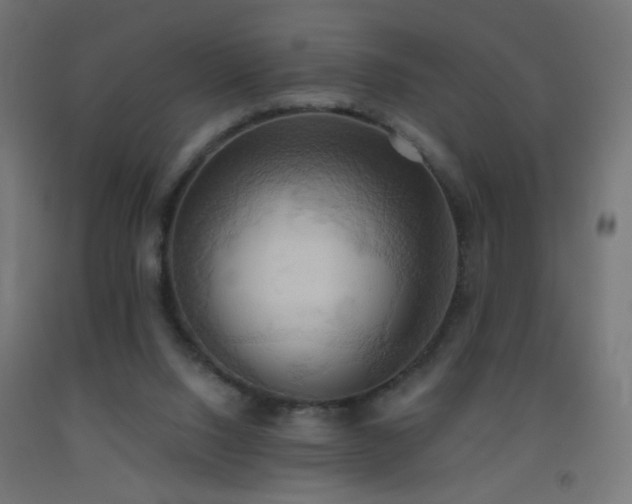 X0000093520064200710121553