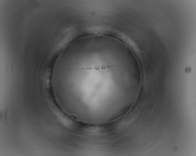 X0000093520065200710121553