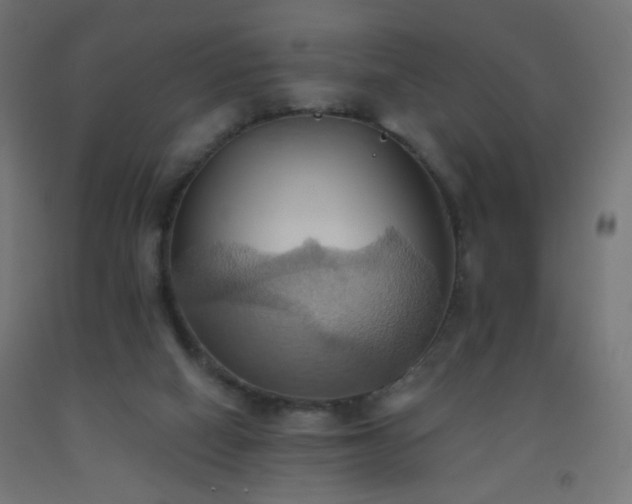X0000093520066200710121553