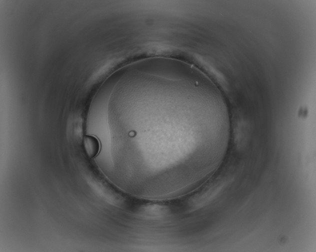 X0000093520067200710121553