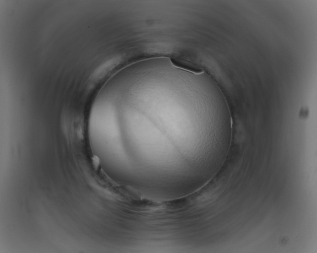 X0000093520068200710121553