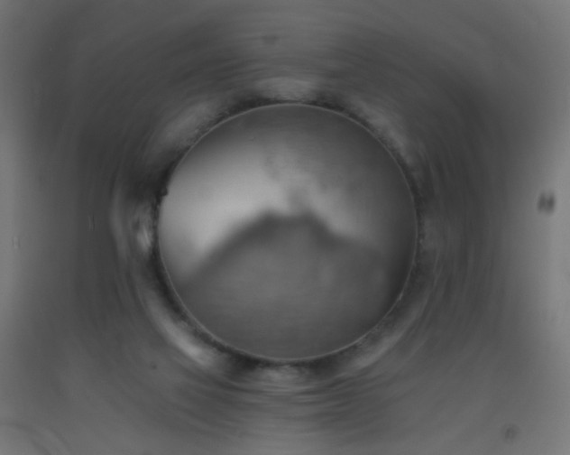 X0000093520069200710121553
