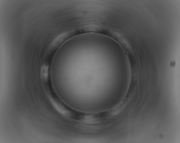 X0000093520070200710121553