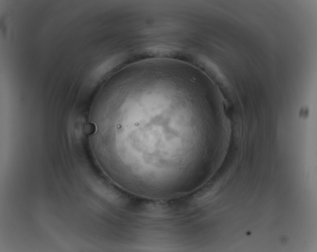 X0000093520071200710121553