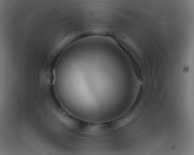 X0000093520072200710121553