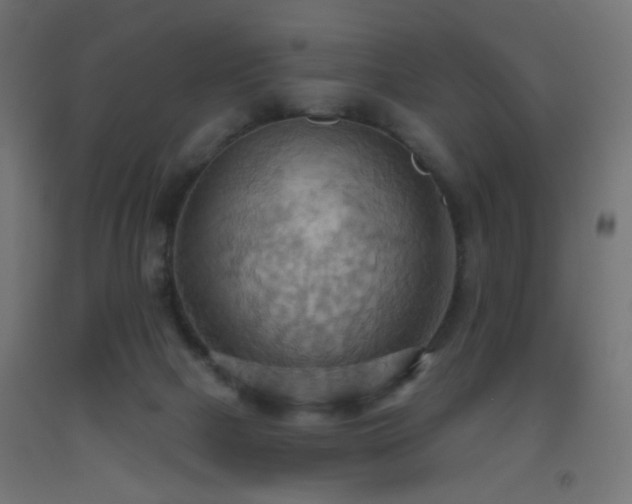 X0000093520073200710121553
