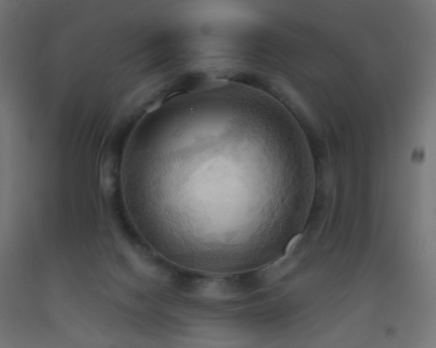 X0000093520074200710121553